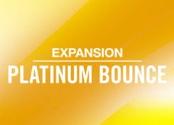 Native Instruments Platinum Bounce Maschine Expansion